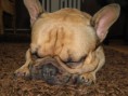 /album/hugo/dscn4713-jpg2/